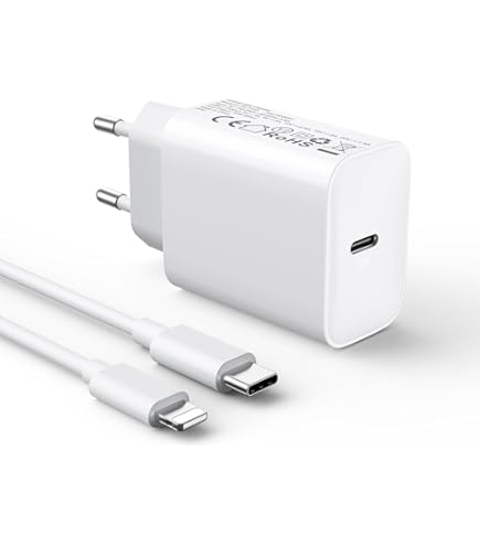 Caricabatterie/cavo CE 100% Originale Spina PD 20 W Per Apple IPhone 12