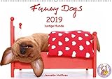 Funny Dogs (Wandkalender 2019 DIN A2 quer): lustige Hunde (Monatskalender, 14 Seiten ) (CALVENDO Tiere) by 