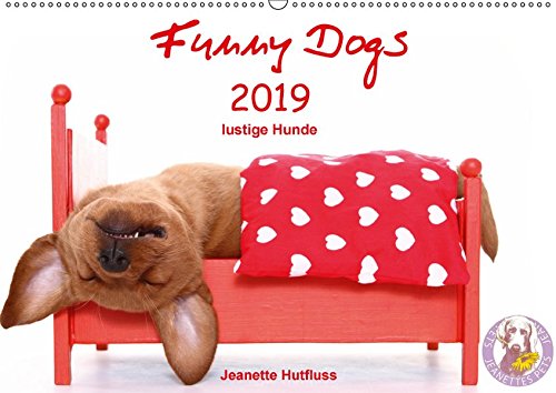 Funny Dogs (Wandkalender 2019 DIN A2 quer): lustige Hunde (Monatskalender, 14 Seiten ) (CALVENDO Tiere)