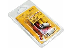 MALOSSI - RESSORT EMBRAYAGE MAXISCOOTER MALOSSI POUR --ORIGINE PIAGGIO 125 X EVO- X7- X8- X9- MP3- LIBERTY- VESPA GTS- ZIP- FLY-APRILIA 125 ATLANTIC- SCARABEO-GILERA 125 NEXUS- RUNNER (JEU) (2911326) -RACING-