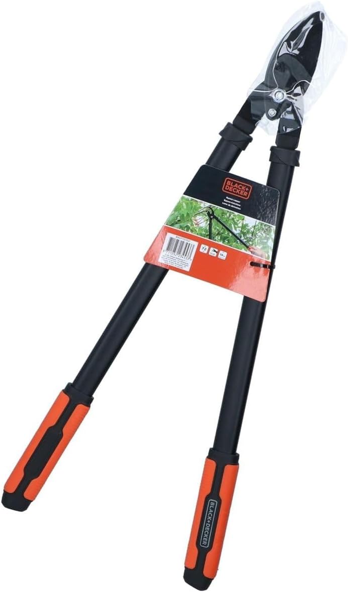 Vue 12