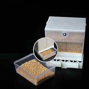 CSM - No Mess Bird Feeder - Parrot Integrated Automatic Feeder for Small to Medium Birds 500gms (Pack of 1)