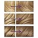 Clairol Nice 'n Easy Ash Blonde Permanent Hair Colour 102 Natural Light