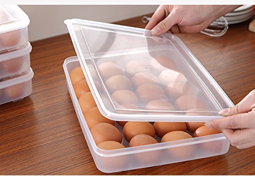 Eierbox,Hikeren Eier-Halter-Kasten Covered Egg Spender mit Griff-Speicher-Organisator für Küche 24-Ei Kapazität - 3