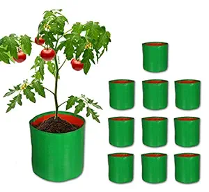 Nabaat Terrace Gardening Grow Bag for Vegetable Fruits Plants (9x9)