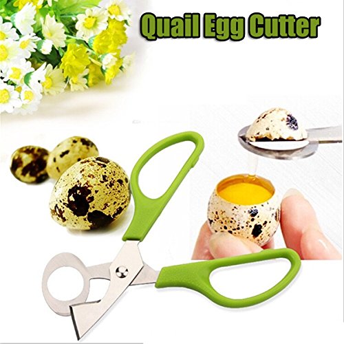 Taube Wachtel Ei Schere Ei Cutter Ei Opener KŸche Gadget