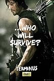 GB eye LTD, The Walking Dead, Daryl Survive, Maxi Poster, 61 x 91,5 cm