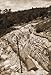 Produktbild Alu-Dibond-Bild 80 x 120 cm: "Foxhole, World War One", Bild auf Alu-Dibond