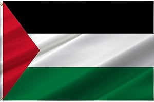 Ainid Bandiera della Palestina, bandiera della Palestina, 90 x 150 cm, con 2 occhielli in ottone, poliestere di alta qualità (bandiera della Palestina)