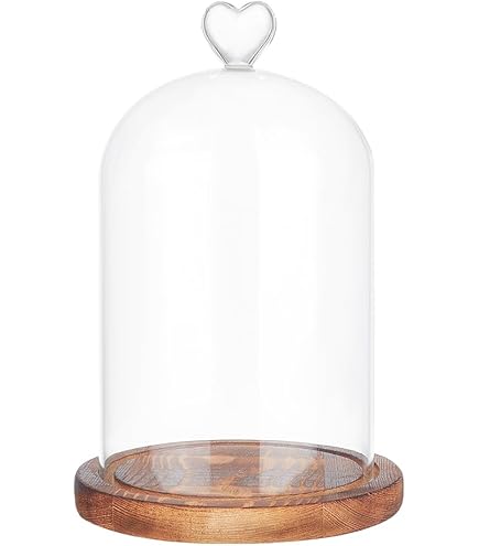 Belle Vous 10 cm Glazen Stolp Pot met Zwart Houten Basis – Doorzichtig Decoratieve Tafeltop Display Bak met Tray voor Fee Lichten, Kopstukken en Antieke Items
