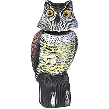 Retoo Spaventapasseri multicolore in plastica, a grandezza naturale, falke Atrappe, uccello per volatili come spaventapasseri, uccello predatore, dissuasore per piccioni, spaventatore da giardino