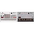 Korg volca Sample2 - Digital Sample Sequencer Synthesizer & volca Bass - Analogue Bass Machine Synthesizer