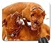 Produktbild Gaming-Mauspads, Mauspad, Schneehund De Bordeaux Mastiff Winter Puppy Funny 1