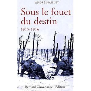 Sous le fouet du destin 1915-1916 Livre en Ligne - Telecharger Ebook