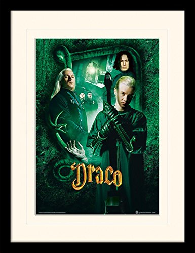 1art1® Harry Potter - Draco Malfoy Póster De Colección Enmarcado (40 x 30cm)