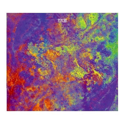 Preisvergleich Produktbild Psycho (1CD)