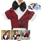 Las tallas XS a XL son compatibles con perros de tamaño pequeño, el tamaño L - S - M L-L L-XL es para perros de tamaño mediano y grande (mide la circunferencia del cuello de tu mascota, la circunferencia del pecho y la longitud de la espalda para comparar la tabla de tallas en la imagen) asegúrate de que el tamaño más adecuado para tu cachorro.