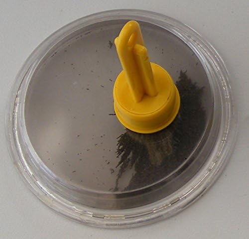 Mini Magnet Wand Set ~ Magnetic Wand with Iron Filings Bubble Demonstrate Magnetic Attraction