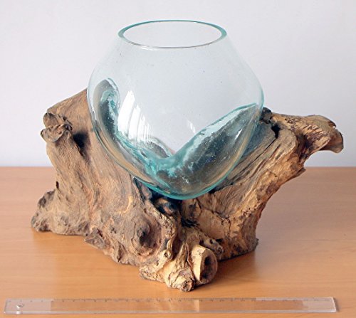 Geschenk Deko Gamal Wurzelholz Glasvase Ø Glas 15-16 cm Wurzel Holz Teakholz Vase Glas M - 4