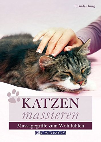 Download Katzen massieren Download Katzen massieren