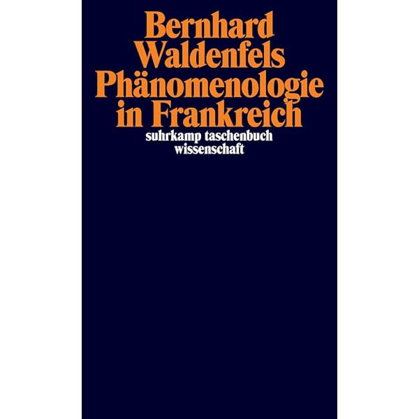 Phänomenologie in Frankreich (suhrkamp taschenbuch wissenschaft