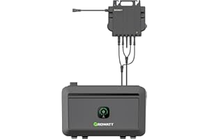 GROWATT Centrale elettrica da balcone con memoria: con micro inverter WLAN 800 W, batteria LiFePO4 da 2048 Wh, capacità espandibile, controllo app, NOAH 2000 + NEO 800M-X