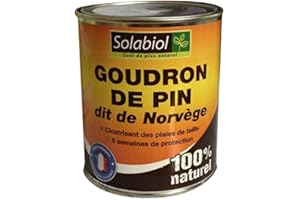SBM SOLABIOL Goudron DE PIN Dit DE Norvege Boite Metal 600 G SOGOUD600