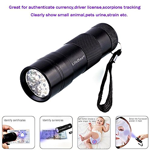 Kungix UV Taschenlampe mit 12 LEDs , Haustiere Urin-Detektor für eingetrocknete Flecken Ihrer Hunde, Katzen und Nagetiere auf Teppichen, Vorhänge, Gardinen, Möbel und anderen Stoffen, Hund usw 3xAAA-Batterien inkl - 8
