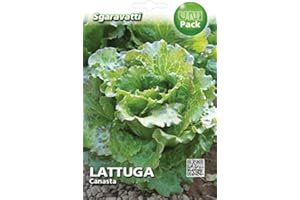 SGARAVATTI Busta Semi Orto Lattuga Canasta