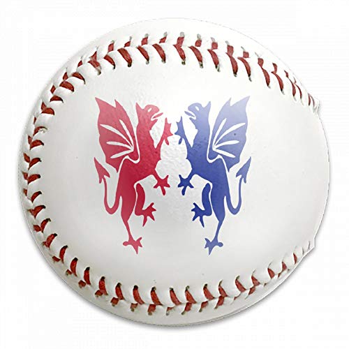 Preisvergleich Produktbild FFMMdogs Custom Drink Baseball