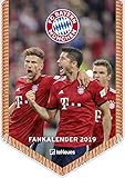 FC Bayern Kalender 2019 - Bannerkalender A4, Fussball Kalender, Fankalender, FCB Kalender 2019, FC Bayern München Kalender 2019 - 21 x 29,7 cm by