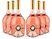 Produktbild Roséwein-Set (trocken) aus Frankreich, Provence, Côtes de Provence | 6er-Set Miraval Rosé 'Jolie-Pitt & Perrin' Côtes de Provence 2016 (6 x 0,75l) | Syrah, Cinsault, Grenache, Rolle | passend u.a. zu Feinkost, Meeresfrüchten