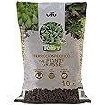 CIFO Terriccio per piante grasse e succulente Torfy BIO da 10 lt.