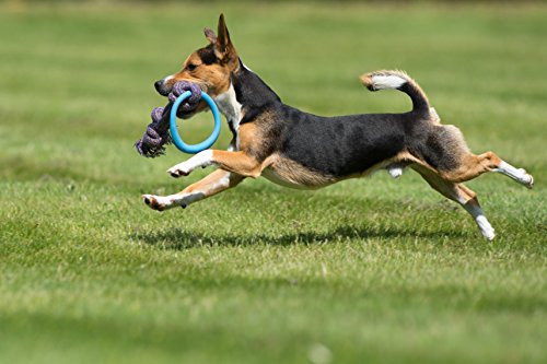 Beco-Pets-Beco-Hoop-on-Rope-Large-Pink