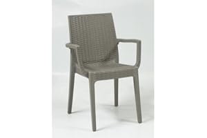 ARETA ARE064 Chaise avec accoudoirs, modèle Dafne, Taupe 55 x 54 cm