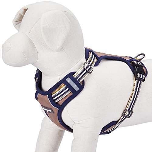 Blueberry-Pet-Soft-Comfortable-3M-Reflective-Multi-colored-Stripe-No-pull-Mesh-Padded-Dog-Harness-Vest-4-Colors-Matching-Collar-Lead-Available-Separately