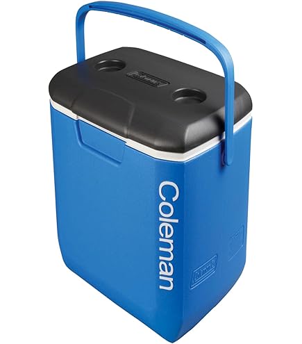 50L Mini Réfrigérateur Frigo Portable Réfrigérateur Glacière Électrique