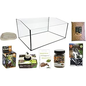 Reptiles Planet Kit Terrarium komplett mit Becken geöffnet für Schildkröte terrestrisch 60x 40x 28cm