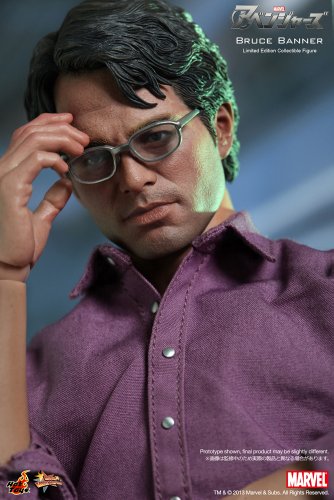 Hot Toys 1:6 Scale Bruce Banner Figure