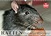 Produktbild Ratten. Gelehrige Haustiere (Wandkalender 2018 DIN A3 quer): Von der Wanderratte zum geliebten Kuscheltier (Geburtstagskalender, 14 Seiten ) (CALVENDO Tiere)