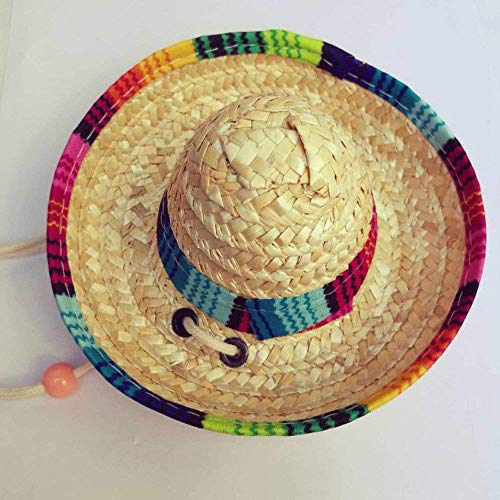 Arbre Puppy Accessories Pet Hat New Multicolor Dog Cat Mexican