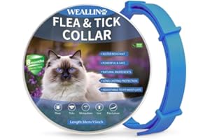 WEALLIN Collier Anti Puces et Tiques pour Chats, Collier Anti Puces pour Chat Imperméable et Réglable, Naturelles et Efficace Protection 8 Mois, Collier Anti Puce Chat à Tous Les Chat, Bleu (1 PC)