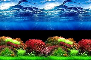 HITOP Double Sides Aquarium Background Picture,3 Different pcs with Total 6 Options for Fish Tank (15.5H31.5L(inch))