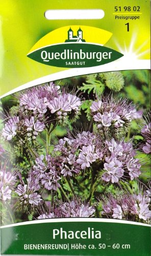 Bienenfreund, Phacelia tanacetif., Samen für ca. 3 qm