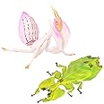 NALACAL 2pcs Insect Toy Figures - Realistic Mantis and Leafworm Miniature Insect Models for Kids' Cognitive Science, Education Props, and Party Favors