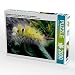 Produktbild CALVENDO 4059478950672 Schönheit auf vielen Beinen, Raupe eines Großfalters 2000 Teile Lege-Größe 90 x 67 cm Foto-Puzzle Bild von Saal Heribert, Weiß