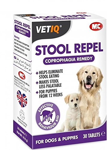 coprophagia deterrent products