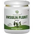 Mahogany Insulin Plant (Costus Igneus) Powder 200g- Diabetes Care Supplement- Controls Blood Sugar