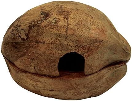 Namiba Terra Froggy-Home 0411 Coconut-Shaped Den for Reptiles, Amphibians or Small Animals, 2-Piece, Lies Horizontally