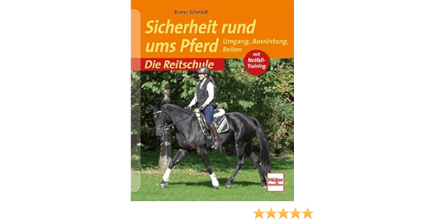 Best Of Bewegungsgefuhl und reitersitz reitfehler vermeiden sitzprobleme losen EBook Images